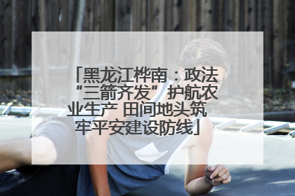 黑龙江桦南：政法“三箭齐发”护航农业生产 田间地头筑牢平安建设防线