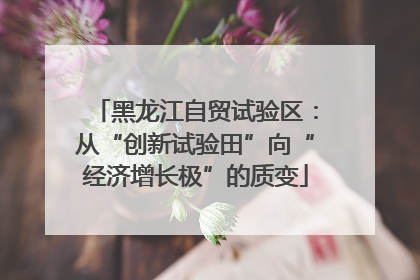黑龙江自贸试验区：从“创新试验田”向“经济增长极”的质变