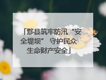 黟县筑牢防汛“安全堤坝” 守护民众生命财产安全