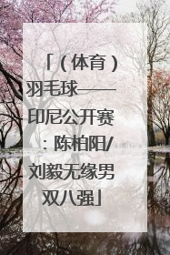 （体育）羽毛球——印尼公开赛：陈柏阳/刘毅无缘男双八强