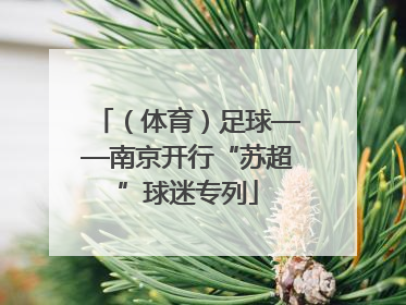 （体育）足球——南京开行“苏超”球迷专列