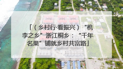 （乡村行·看振兴）“槜李之乡”浙江桐乡：“千年名果”铺就乡村共富路