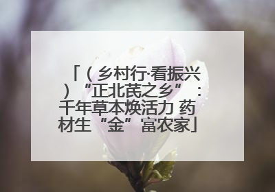 （乡村行·看振兴）“正北芪之乡”：千年草本焕活力 药材生“金”富农家