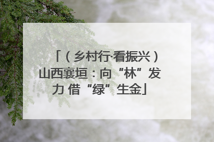 （乡村行·看振兴）山西襄垣：向“林”发力 借“绿”生金