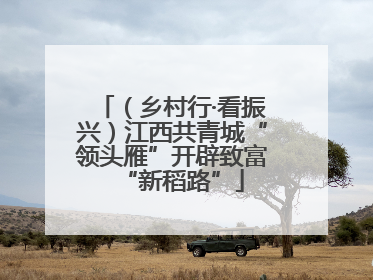 （乡村行·看振兴）江西共青城“领头雁”开辟致富“新稻路”