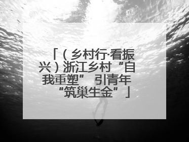 （乡村行·看振兴）浙江乡村“自我重塑” 引青年“筑巢生金”