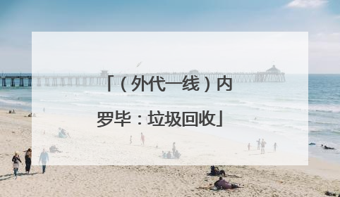 （外代一线）内罗毕：垃圾回收