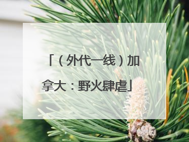 （外代一线）加拿大：野火肆虐