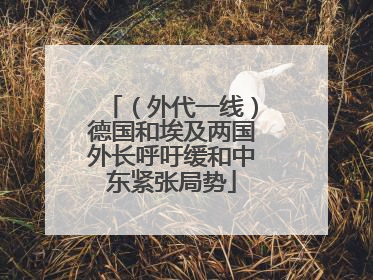 （外代一线）德国和埃及两国外长呼吁缓和中东紧张局势