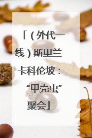 （外代一线）斯里兰卡科伦坡：“甲壳虫”聚会