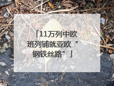 11万列中欧班列铺就亚欧“钢铁丝路”