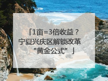 1亩=3倍收益？宁夏兴庆区解锁改革“黄金公式”