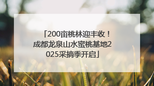 200亩桃林迎丰收！成都龙泉山水蜜桃基地2025采摘季开启