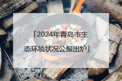 2024年青岛市生态环境状况公报出炉
