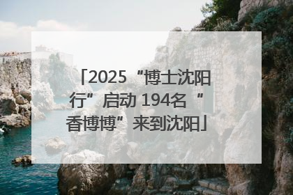 2025“博士沈阳行”启动 194名“香博博”来到沈阳