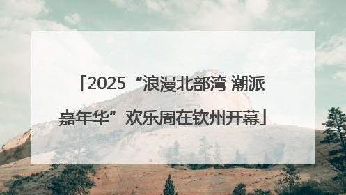 2025“浪漫北部湾 潮派嘉年华”欢乐周在钦州开幕