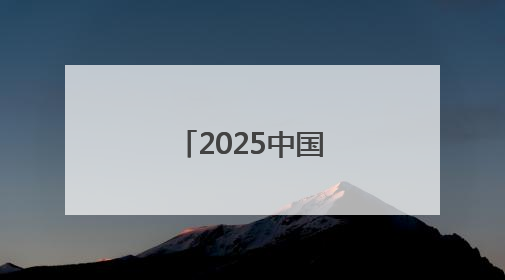 2025中国·晋江—南非产业对接会举行