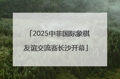 2025中非国际象棋友谊交流赛长沙开幕