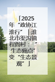 2025年“政协江淮行”｜淮北市渠沟镇程阁村：“生态痛点”变“生态景观”