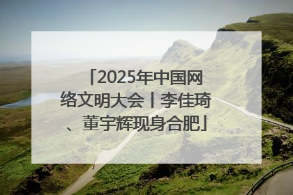 2025年中国网络文明大会丨李佳琦、董宇辉现身合肥