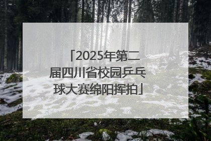 2025年第二届四川省校园乒乓球大赛绵阳挥拍