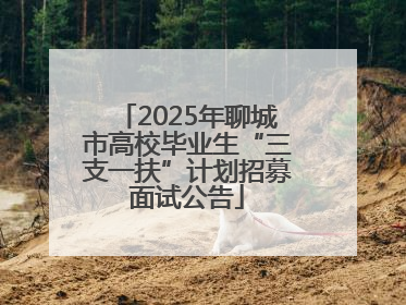 2025年聊城市高校毕业生“三支一扶”计划招募面试公告