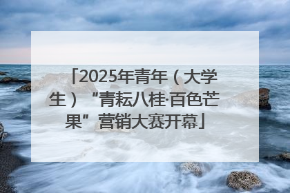 2025年青年（大学生）“青耘八桂·百色芒果”营销大赛开幕