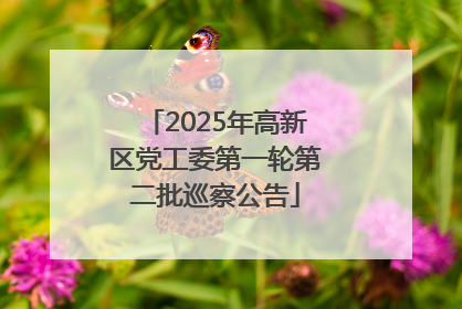 2025年高新区党工委第一轮第二批巡察公告