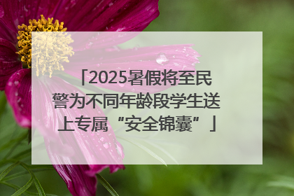 2025暑假将至民警为不同年龄段学生送上专属“安全锦囊”
