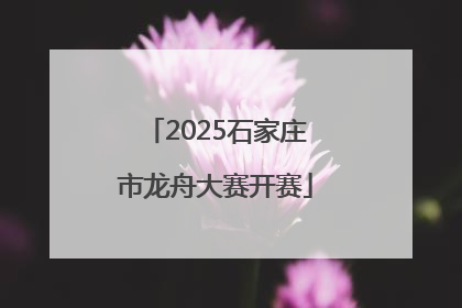 2025石家庄市龙舟大赛开赛