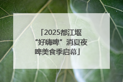 2025都江堰“好嗨啤”消夏夜啤美食季启幕