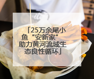 25万余尾小鱼“安新家” 助力黄河流域生态良性循环