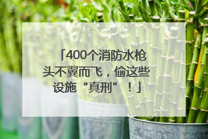 400个消防水枪头不翼而飞，偷这些设施“真刑”！