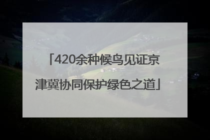 420余种候鸟见证京津冀协同保护绿色之道