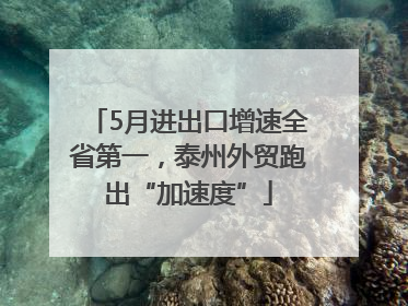 5月进出口增速全省第一，泰州外贸跑出“加速度”
