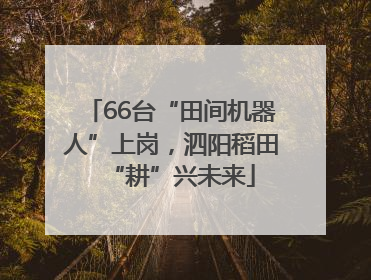66台“田间机器人”上岗，泗阳稻田“耕”兴未来