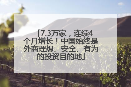 7.3万家，连续4个月增长！中国始终是外商理想、安全、有为的投资目的地