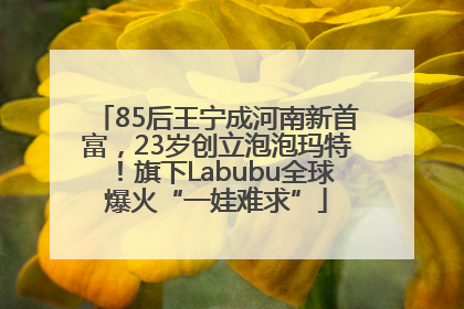 85后王宁成河南新首富，23岁创立泡泡玛特！旗下Labubu全球爆火“一娃难求”