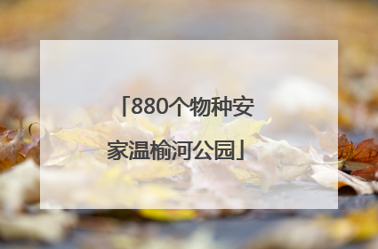 880个物种安家温榆河公园