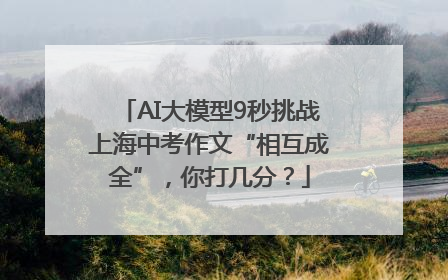 AI大模型9秒挑战上海中考作文“相互成全”，你打几分？