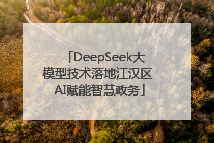 DeepSeek大模型技术落地江汉区 AI赋能智慧政务