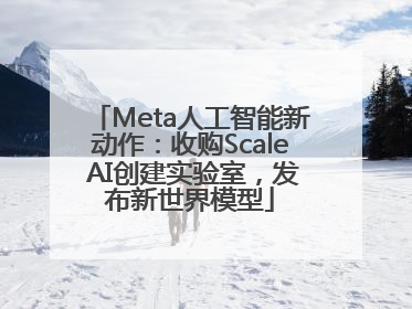 Meta人工智能新动作：收购Scale AI创建实验室，发布新世界模型