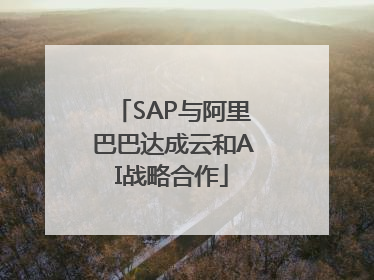 SAP与阿里巴巴达成云和AI战略合作